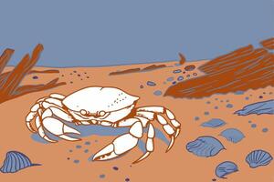 A drawing of a crab on the beach vector