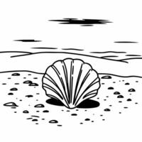 A black and white drawing of a shell on the beach vector