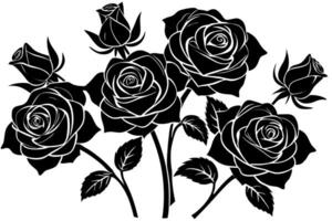 Black and white roses on a white background vector