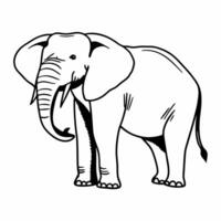 An elephant is standing in a line drawing vector