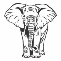 An elephant is standing in the middle of a white background vector
