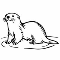 An otter is standing in the water coloring page vector