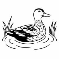 A duck in the water coloring page vector