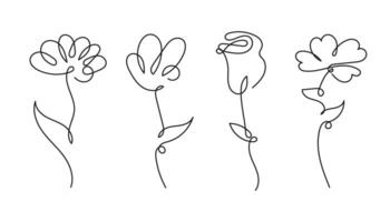 Simple flower line drawing with natural forms. vector