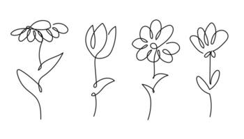 Simple one line floral drawing with three different flowers. vector
