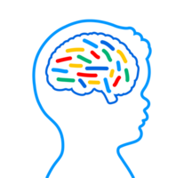 Brain outline with colorful segments A blue outline of a human brain filled with colorful horizontal and diagonal bars, symbolizing neurology, cognitive diversity, or mental health. png