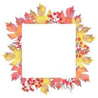 Square autumn frame of fall leaves with rowan berries, rose hips vector