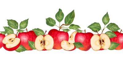 Seamless border with red apples, slices and green leaves. Waterc vector
