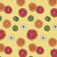 citrus fruit pattern and flowers on yellow background vector