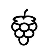Simple Line Art Grape Fruit Outline Shape Handdrawn Icon Design vector