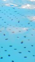 Background of the bottom of a swimming pool. Water deforms the bottom of the pool as waves move. video