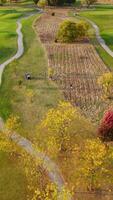 Aerial view of a golf course with autumn trees and pathways - A vibrant aerial view showcasing a golf course with lush green grass, winding pathways, and video