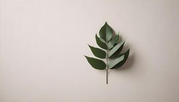 A single, green leaf branch against a neutral background, perfect for a minimalist design. photo