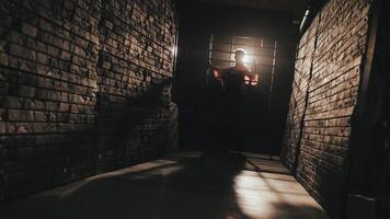 A lonely woman is being held captive in a dungeon. The girl is in prison. Despair. The frame goes into a blur. video