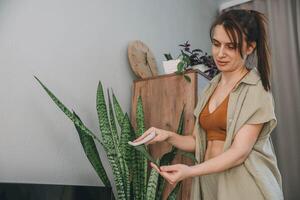 woman in casual linen outfit gently wiping leaves of snake plant next to wooden shelf with decorative pots and clock in cozy sunlit room, concept of plant care, home decor, lifestyle content photo