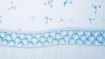 Skin cell background with cosmetic molecules, 3d rendering. video