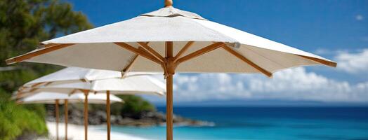A row of umbrellas on a beach photo