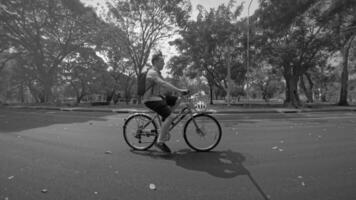 A Young Cyclist is Enjoying a Relaxing Ride in a Beautiful and Serene Park Setting video
