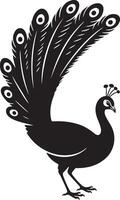 Peacock silhouette elegant feather display, Detailed peacock black shape design vector