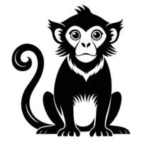 A black and white monkey with a long tail vector