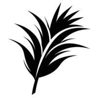 A palm leaf silhouette on a white background vector