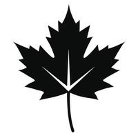 A black and white maple leaf icon vector