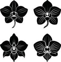 Flower Outline Collection Stylish Black Flower Ornaments Scalable Group for Illustration and Projects vector