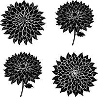 Botanical Shadow Bundle Decorative Monochrome Flower Ornaments Set for Design and Creations vector
