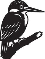 Kingfisher perched on branch, Bird silhouette black on tree branch vector