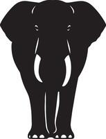 Elephant facing forward silhouette, Bold front elephant figure in black vector