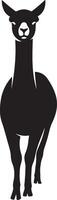 Llama facing forward simple silhouette, Minimalist llama front view black vector