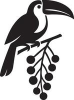 Toucan with berries illustration, perched tropical bird design vector