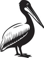 Striking pelican bird in silhouette, Elegant bird in flight illustration vector