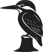 Kingfisher perched on stump silhouette, Bird resting illustration black white vector