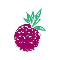 Rough sketch of berry, simple drawing. vector