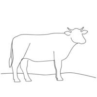 Simple line drawing illustration of a standing cow representing farm animal cattle for coloring and design vector
