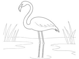 Simple black and white drawing of a flamingo standing in shallow water with reeds. vector