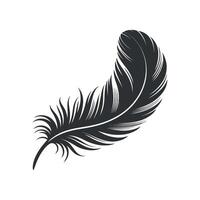 Single Black Feather Illustration Isolated on White Background for Design Element vector
