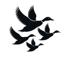Silhouette of Four Ducks in Flight Formation Against White Background vector