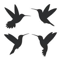 Four Hummingbird Silhouettes in Different Flight Positions for Design Elements vector