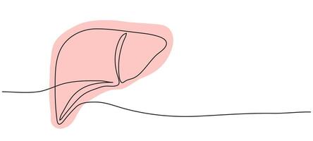 Human Liver continuous one line drawing. Banner with copy space for text. vector