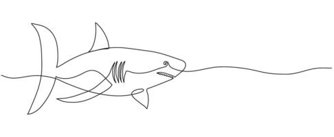 Shark one line art. Banner with copy space. Editable stroke hand drawn design. Continuous Outline drawing with ocean animal fish for poster card vector
