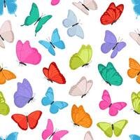 Seamless pattern of colorful flying butterflies. Summer insect on white background vector