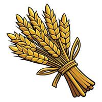 Cottagecore a bunch of wheat on a white background vector
