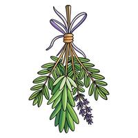 Cottagecore a bundle of herbs with a ribbon vector
