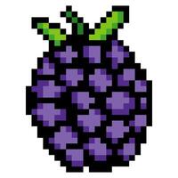 Blackberry fruit with pixel art isolated on white background vector