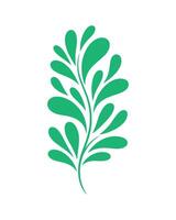 Jade Leaf Cascade Elegant Natural Abstract vector