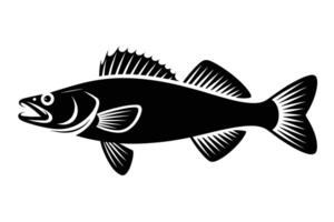 Aquatic Hunter Minimalist Walleye Design vector