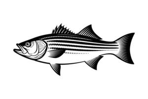 Striper Power Dynamic Illustration vector