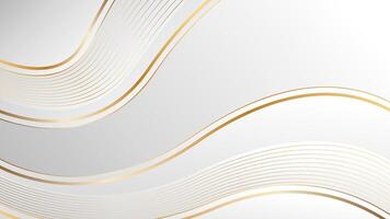 Elegant white and gray luxury wave background with gold lines. Suitable for templates, banners, covers, sales, events, awards, websites, pages and more vector